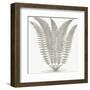 Fern (Ivory & Burlap)-Botanical Series-Framed Art Print