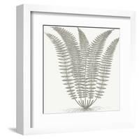 Fern (Ivory & Burlap)-Botanical Series-Framed Art Print