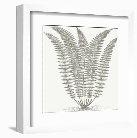 Fern (Ivory & Burlap)-Botanical Series-Framed Art Print