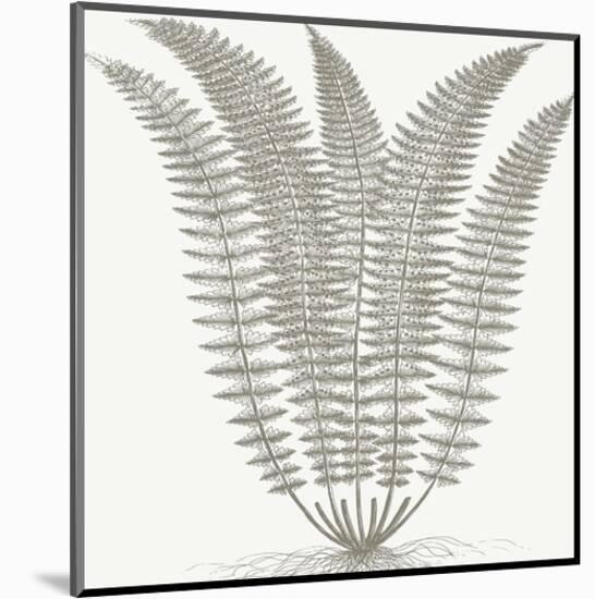 Fern (Ivory & Burlap)-Botanical Series-Mounted Art Print