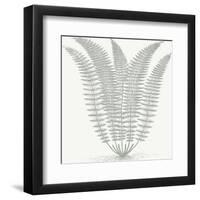 Fern (Ivory & Sage)-Botanical Series-Framed Art Print