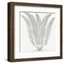 Fern (Ivory & Sage)-Botanical Series-Framed Art Print