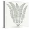 Fern (Ivory & Sage)-Botanical Series-Stretched Canvas