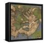 Fern Lake I-Jennifer Goldberger-Framed Stretched Canvas