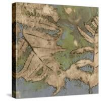 Fern Lake II-Jennifer Goldberger-Stretched Canvas