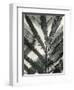 Fern Leaf, 1954-Brett Weston-Framed Photographic Print