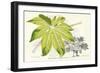 Fern Leaf Foliage I-Stroobant-Framed Art Print