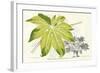 Fern Leaf Foliage I-Stroobant-Framed Art Print