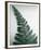 Fern Leaf I-Boyce Watt-Framed Giclee Print
