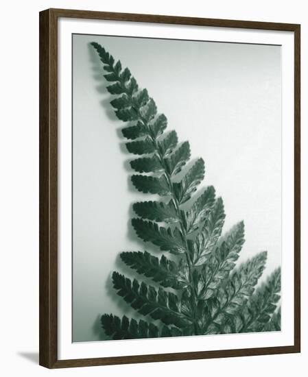 Fern Leaf I-Boyce Watt-Framed Giclee Print