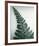 Fern Leaf I-Boyce Watt-Framed Giclee Print