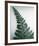 Fern Leaf I-Boyce Watt-Framed Giclee Print