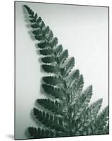 Fern Leaf I-Boyce Watt-Mounted Giclee Print