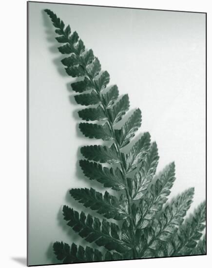 Fern Leaf I-Boyce Watt-Mounted Giclee Print