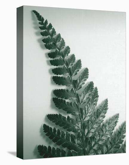 Fern Leaf I-Boyce Watt-Stretched Canvas