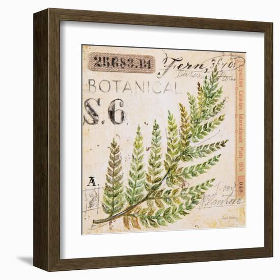 Fern Leaf…Sketchbook-Angela Staehling-Framed Art Print