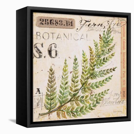 Fern Leaf…Sketchbook-Angela Staehling-Framed Stretched Canvas