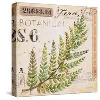 Fern Leaf…Sketchbook-Angela Staehling-Stretched Canvas