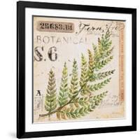 Fern Leaf…Sketchbook-Angela Staehling-Framed Art Print