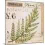 Fern Leaf…Sketchbook-Angela Staehling-Mounted Art Print