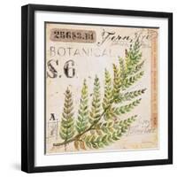 Fern Leaf…Sketchbook-Angela Staehling-Framed Art Print