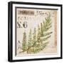 Fern Leaf…Sketchbook-Angela Staehling-Framed Art Print