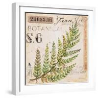 Fern Leaf…Sketchbook-Angela Staehling-Framed Art Print