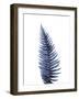 Fern Leaf. Watercolour Illustration on White.-ASolo-Framed Art Print