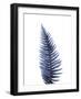 Fern Leaf. Watercolour Illustration on White.-ASolo-Framed Art Print