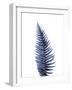 Fern Leaf. Watercolour Illustration on White.-ASolo-Framed Art Print