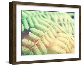 Fern Leaves Background-melking-Framed Photographic Print