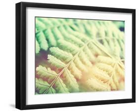 Fern Leaves Background-melking-Framed Photographic Print