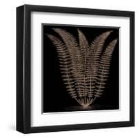 Fern (on black)-Botanical Series-Framed Giclee Print