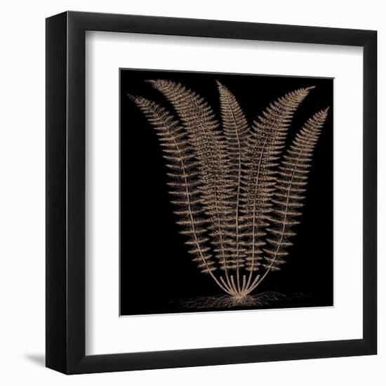 Fern (on black)-Botanical Series-Framed Giclee Print