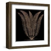 Fern (on black)-Botanical Series-Framed Giclee Print