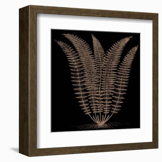 Fern (on black)-Botanical Series-Framed Giclee Print