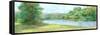 Fern Panorama-Matina Theodosiu-Framed Stretched Canvas