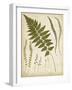 Fern Portfolio II-Francis G. Heath-Framed Art Print