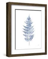 Fern Print I Blue No Shiplap-Moira Hershey-Framed Art Print