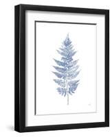 Fern Print I Blue No Shiplap-Moira Hershey-Framed Art Print