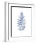 Fern Print I Blue No Shiplap-Moira Hershey-Framed Art Print
