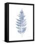 Fern Print I Blue No Shiplap-Moira Hershey-Framed Stretched Canvas