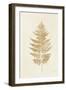 Fern Print I Gold No Shiplap-Moira Hershey-Framed Art Print