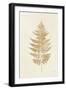 Fern Print I Gold No Shiplap-Moira Hershey-Framed Art Print