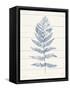Fern Print II Blue Crop-Moira Hershey-Framed Stretched Canvas