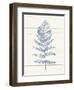 Fern Print II Blue Crop-Moira Hershey-Framed Art Print