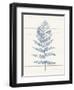 Fern Print II Blue Crop-Moira Hershey-Framed Art Print