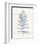 Fern Print II Blue Crop-Moira Hershey-Framed Art Print