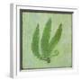 Fern Series Vintage II-Cora Niele-Framed Giclee Print