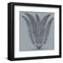 Fern (Slate & Ink)-Botanical Series-Framed Art Print